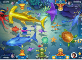 kiayun秒速登录入口2024最新版